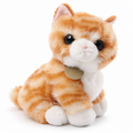 Peluche Chaton aux Grands Yeux Brillants
