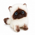 Peluche Chaton Siamois Yeux Bleus