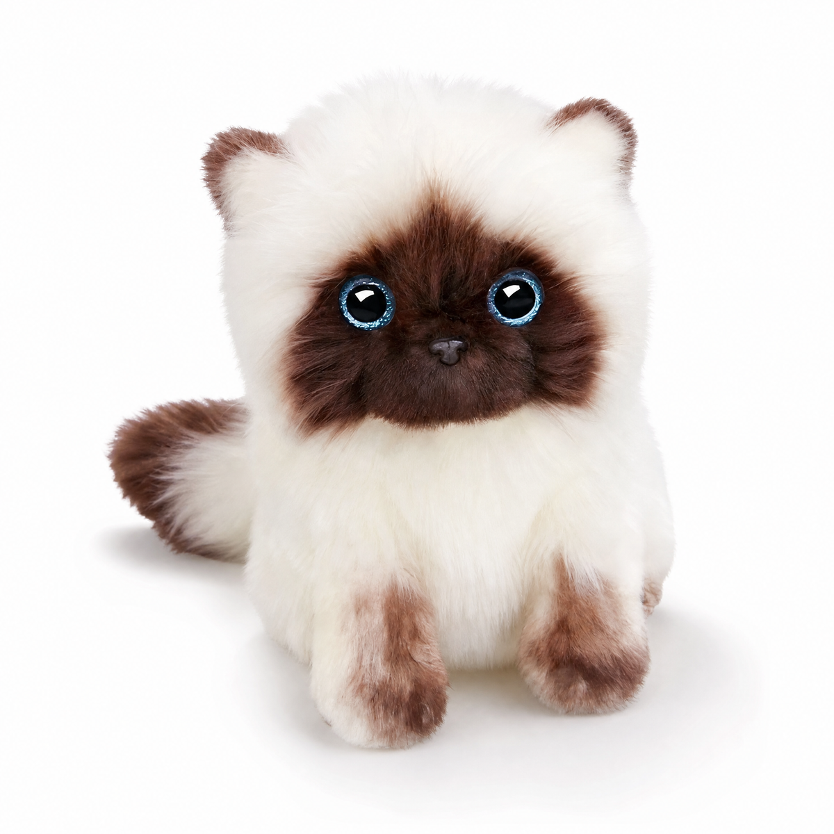 Peluche Chaton Siamois Yeux Bleus